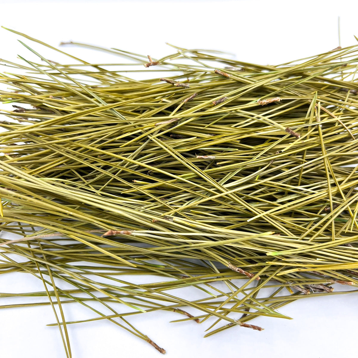 【素材販売】無農薬乾燥松葉300g