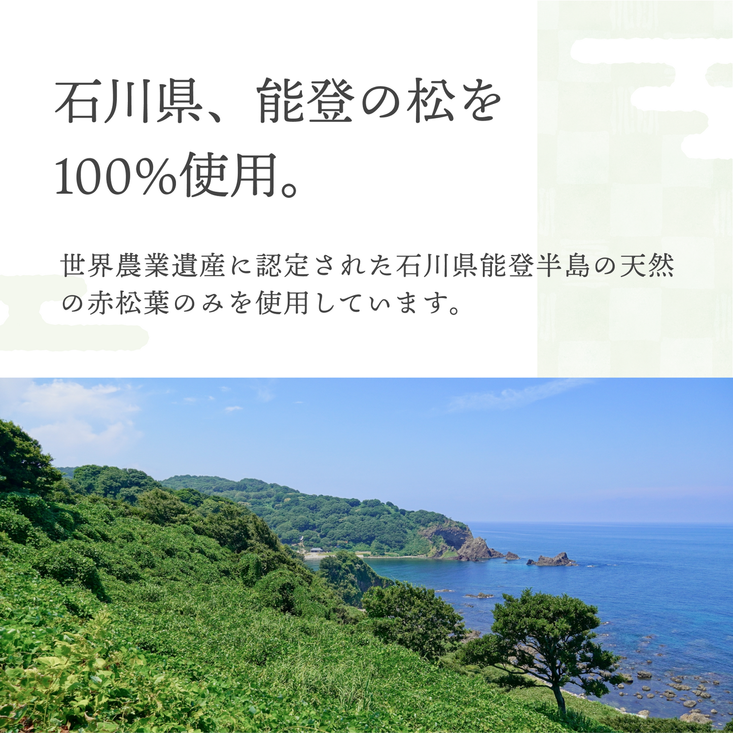 【松葉茶ティーバッグ】 石川県能登産 国産無農薬 無添加 健康茶 MATSUBA TEA 1g×30包